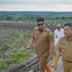 Walikota Medan, Bobby Nasution bersama Bupati Dairi meninjau lahan pertanian hortikultura di Dairi, Senin (6/2/2023). Foto:Dinas Kominfo Sumut