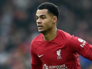 Cody Gakpo diharapkan mengerahkan semua kemampuannya dalam laga melawan Everton di Stadion Anfield, Selasa (14/2/2023) nanti. Foto:Google