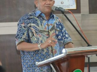 Plt Bupati Langkat, Syah Afandin