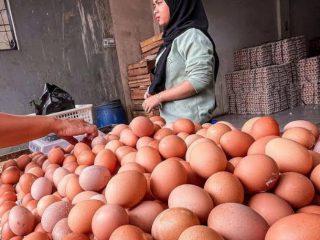 Wakil Menteri Perdagangan Jerry Sambuaga tak menampik lonjakan harga telur yang menembus Rp 40.000 per kilogram. Namun, ia menepis pernyataan peternak bahwa mahalnya harga pakan menjadi penyebab harga telur melambung.