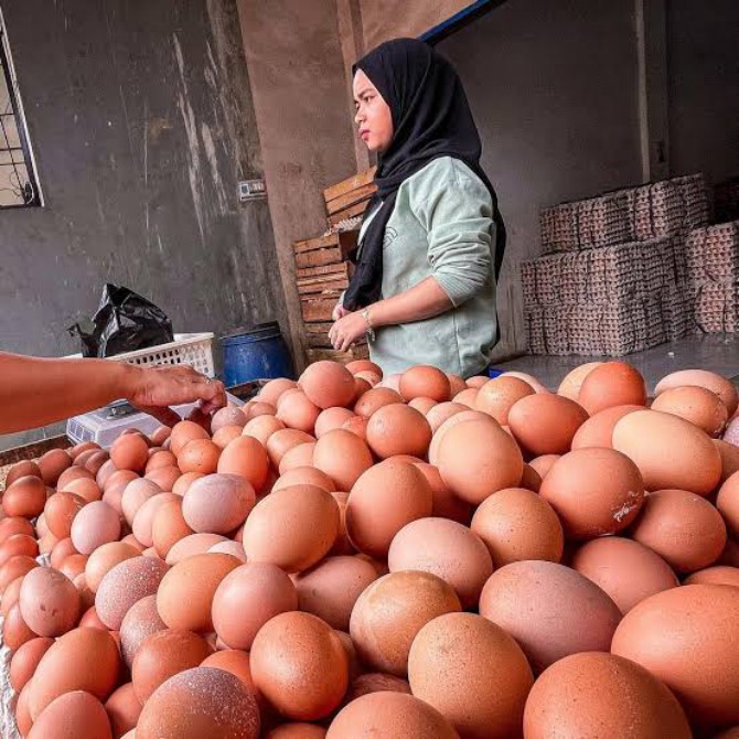 Wakil Menteri Perdagangan Jerry Sambuaga tak menampik lonjakan harga telur yang menembus Rp 40.000 per kilogram. Namun, ia menepis pernyataan peternak bahwa mahalnya harga pakan menjadi penyebab harga telur melambung.