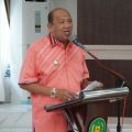 Plt Bupati Langkat, Syah Afandin