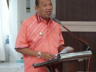 Plt Bupati Langkat, Syah Afandin