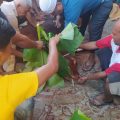 Penyembelih sedang menyembelih hewan kurban sumbangan Gubsu Edy Rahmayadi di Masjid Al Mukhlisin, Jalab Coklat 11 Ujung, Perumnas Simalingkar, Medan, Kamis (29/6/2023). Foto:reza/kaldera.id