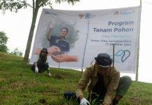 PT Indonesia Asahan Aluminium (Inalum) membuat program untuk penanaman pohon dan perlindungan satwa langka, yaitu program kehati.