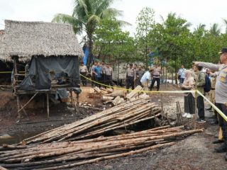 Kapoldasu saat meninjau dapur arang ilegal yang ada di Kabupaten Langkat