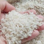 Harga komoditi beras di Sumatera Utara (Sumut) khususnya di Kota Medan pekan kedua Oktober 2023 masih stagnan di angka Rp 15 ribu per kilonya.