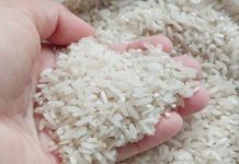 Anggota Komisi XI DPR RI Gus Irawan Pasaribu merasa prihatin atas naiknya harga beras secara drastis. Gus Irawan Pasaribu secara tegas menyampaikan bahwa pemerintah harus bertanggung jawab dan segera bergerak untuk melakukan mitigasi.