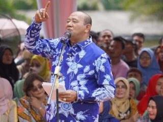 Plt Bupati Langkat, Syah Afandin