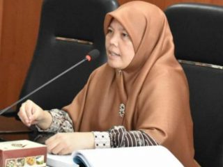 Dhiyaul Hayati