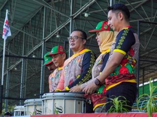 Wakil Walikota Medan Aulia Rachman