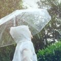 Beberapa hari belakangan hujan terjadi cukup ekstrem terjadi di beberapa kota. Perubahan cuaca yang terjadi sangat tiba-tiba membuat tubuh menjadi rentan dari berbagai gangguan kesehatan.