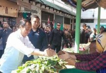 Presiden Joko Widodo (Jokowi) mengunjungi Pasar Brahrang di Binjai, Sumatera Utara. Para pedagang mengaku senang mendapat bantuan langsung tunai (BLT) dari Jokowi.