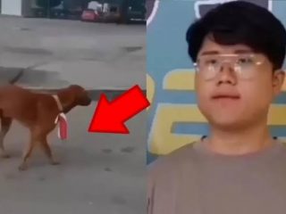 Tersangka penodaan bendera merah putih, Robert Herison (22), hari ini dinyatakan bebas. Robert bebas setelah kasusnya diselesaikan melalui restorative justice.