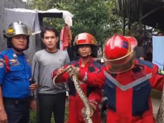Tim Pusdatin Disdamkarmat Kota Medan mengamankan seekor ular besar yang masuk ke dalam kamar mandi warga di Jalan Sari, Kelurahan Kedai Durian, Kecamatan Medan Johor.