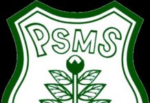 Logo PSMS