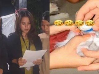 Tiga Orang Wanita di Sumbar Cekoki Kucing Dengan Miras