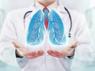 Cara membersihkan paru-paru sejatinya dapat dilakukan secara alami dengan memperhatikan asupan makanan dan aktivitas yang memengaruhi kesehatan organ pernapasan tersebut.