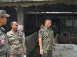 Kasatpol PP Langkatx Dameka sat meninjau ternak babi di Kelurahan Perdamaian, Langkat