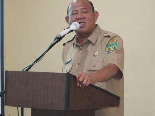 Plt.Bupati Langkat, Syah Afandin
