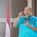Plt Bupati Langkat, Syah Afandin