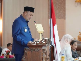 Plt Bupati Langkat, Syah Afandin