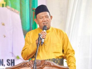 Plt Bupati Langkat, Syah Afandin