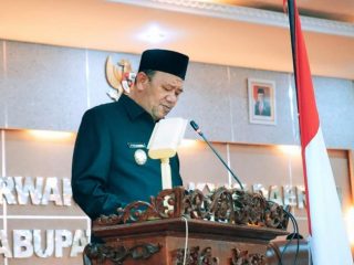Plt Bupati Langkat, Syah Afandin