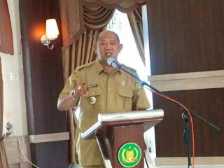 Plt Bupati Langkat, Syah Afandin