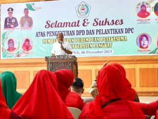 Syah Afandin