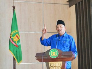 Plt Bupati Langkat, Syah Afandin