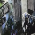 Potongan video aksi curanmor