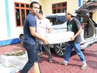 Anggota Koramil 01/PNR menggagalkan penyelundupan 75 kilogram ganja ke wilayah Sumatera Utara. Ganja kering itu dibawa seorang pria menggunakan mobil pribadi.