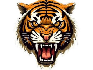 Pemko Medan Diminta Segera Cari Solusi Selamatkan Medan Zoo