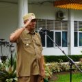 Plt Bupati Langkat, Syah Afandin