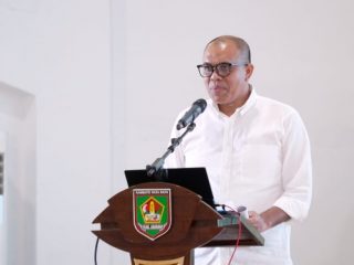 Pj Bupati Langkat, Faisal Hasrimy