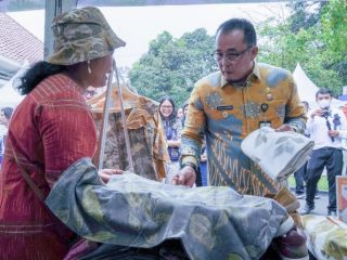 Wakil Walikota Medan, Aulia Rachman