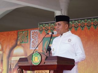 Pj Bupati Langkat, Faisal Hasrimy
