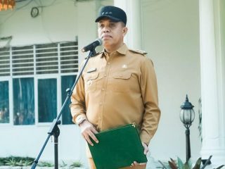 Pj Bupati Langkat, Faisal Hasrimy