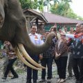 Pj Bupati Langkat, Faisal Hasrimy menginginkan wisatawan lokal maupun mancanegara yang berkunjung ke Objek Wisata Tangkahan harus mendapatkan pelayanan sebaik -baiknya.