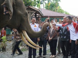 Pj Bupati Langkat, Faisal Hasrimy menginginkan wisatawan lokal maupun mancanegara yang berkunjung ke Objek Wisata Tangkahan harus mendapatkan pelayanan sebaik -baiknya.