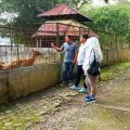 Rencana penutupan Medan Zoo akibat perbaikan ditunda sampai usai lebaran. Mengingat, jumlah pengunjung meningkat saat lebaran. Hal ini disampaikan Plt Dirut PUD Pembangunan, Bambang Hendarto selaku pengelola Medan Zoo, kemarin.