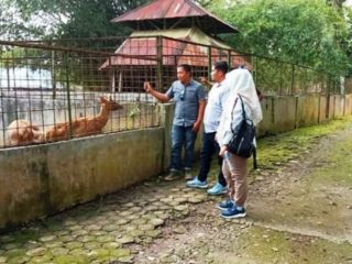 Rencana penutupan Medan Zoo akibat perbaikan ditunda sampai usai lebaran. Mengingat, jumlah pengunjung meningkat saat lebaran. Hal ini disampaikan Plt Dirut PUD Pembangunan, Bambang Hendarto selaku pengelola Medan Zoo, kemarin.