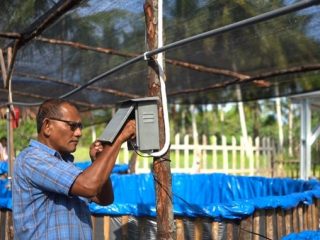 PT Indonesia Asahan Aluminium atau INALUM mendukung budidaya perikanan daratan dengan penggunaan energi mandiri Pembangkit Listrik Tenaga Surya (PLTS).