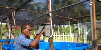 PT Indonesia Asahan Aluminium atau INALUM mendukung budidaya perikanan daratan dengan penggunaan energi mandiri Pembangkit Listrik Tenaga Surya (PLTS).