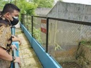 Wali Kota Medan, Sumatera Utara Bobby Nasution menargetkan investasi Kebun Binatang Medan atau Medan Zoo dimulai oleh investor pada Juni 2024.