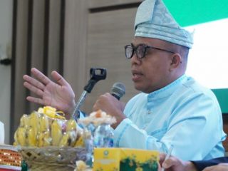 Pj Bupati Langkat, Faisal Hasrimy