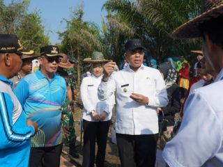 Pj Bupati Langkat, Faisal Hasrimy bersama Ketua TP PKK Langkat, Uke Retno Faisal Hasrimy menanam 11.000 pohon mangrove pada puncak Peringatan Hari Lingkungan Hidup di Kecamatan Berandan Barat, kemarin.