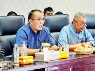 Wakil Walikota Medan, Aulia Rachman