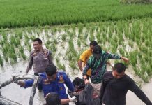 Kecelakaan maut terjadi antara mobil kontra kereta api di perlintasan KM 33+800 petak jalan antara Stasiun Perbaungan - Stasiun Lubukpakam, tepatnya, di Dusun I Desa Pagar Jati, Kecamatan Lubukpakam, Kabupaten Deliserdang, Sumatera Utara, kemarin siang.